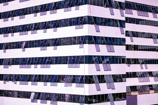 杏彩体育-体育新闻中心建设体育数字内容版权保护体系，体育数据新闻