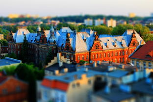 杏彩体育官网-奥运资格赛皮划艇项目中国队再夺两金，奥运皮划艇名单  第3张